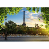 Allenjoy Photography Backdrop Paris Eiffel Tower in Spring Sunset Glow  Photocall