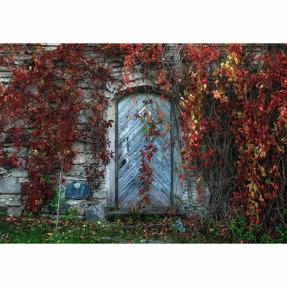 Allenjoy Photography Background Autumn Old Barn Door Leaf Vine Backdrop Photocall - Allenjoystudio
