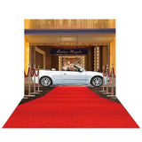 Allenjoy Red Carpet Background for Photo Studio Luxury Car Star Party Photocall Photo Prop