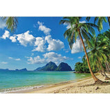 Allenjoy Summer Tropical Seaside Island Palm Trees Blue Sky Backdrop - Allenjoystudio