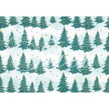 Allenjoy Winter Backdrop Forest Pine Snowland Little Star for Christmas Backdrop