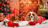 Allenjoy Christmas Tree Red Socks Hang on Fireplace Backdrop - Allenjoystudio