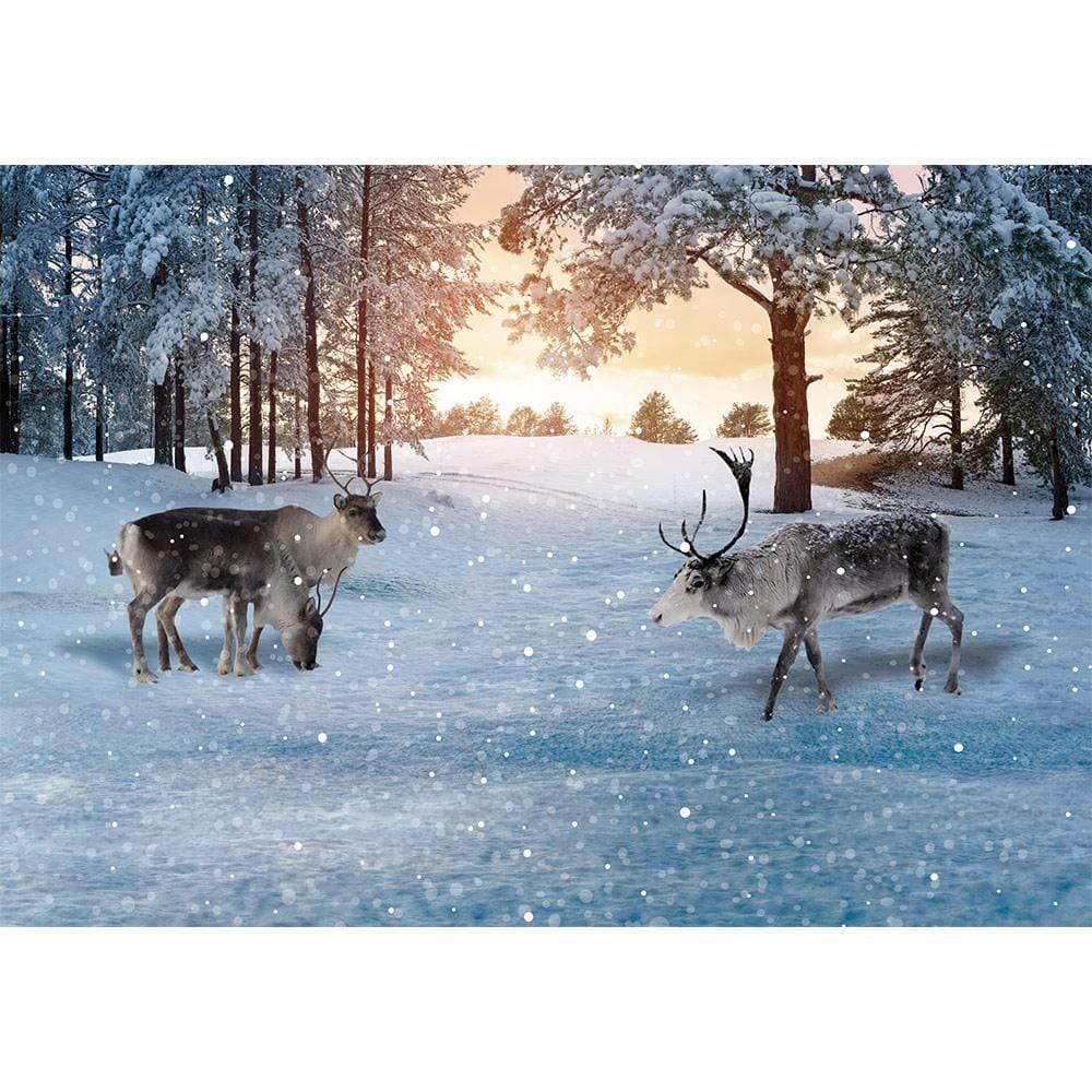 Allenjy Christmas Snow Sunset Forest Elk Natural Backdrop - Allenjoystudio