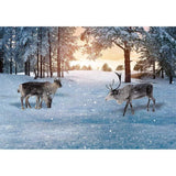 Allenjy Christmas Snow Sunset Forest Elk Natural Backdrop